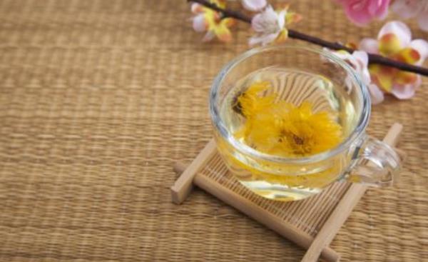 黄菊泡水喝的功效图片