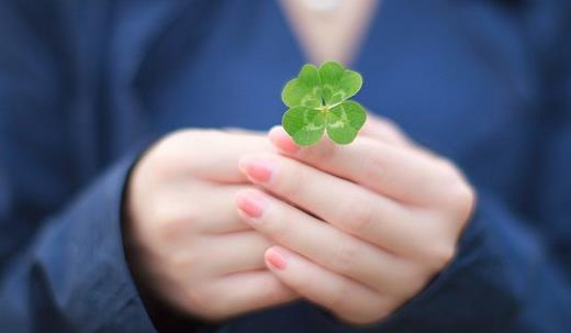 绿茶品质特征有哪些-绿茶品质特征有哪些 _感人网