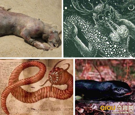 14大恐怖生物十大图片