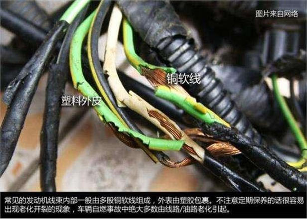 自燃4.jpg