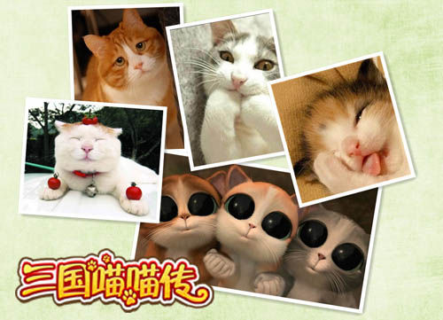 喵喵视频在线 3pfgl2u3uge.jpg